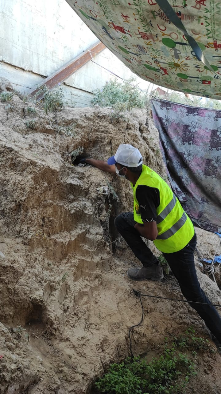 بلدية الزوايدة تواصل أعمال رش البعوض بالتعاون مع برنامج الأمم المتحدة الإنمائي (UNDP)